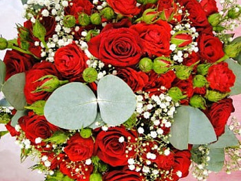 Passion, bouquet, roses, entertainment, fabulous, magnificent, fashion, love, red, forever HD wallpaper