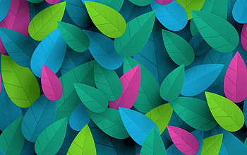 Colored leaf art, Vibrant collection HD wallpaper