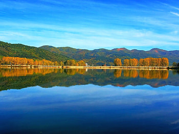 Lake Trees, trees, beautiful, , lake HD wallpaper