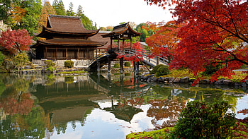 Pagoda, bridge, garden, Japanese, pond HD wallpaper