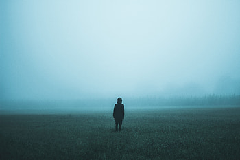 Nature, Fog, Field, Human, Person HD wallpaper
