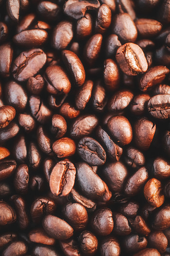 Food, Coffee, Macro, Grains, Coffee Beans, Grain HD phone wallpaper