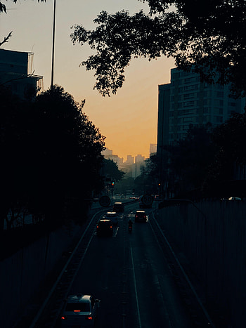 Sunset, Architecture, Cars, Dark, Road, Traffic, Movement, Branches HD phone wallpaper