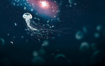 Jellyfish, fantasy, gorgeous, underwater, water, frumusete, summer, superb, gracile jp, medusa, vara HD wallpaper