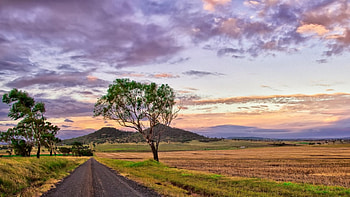 road through fields in a savanna, savanna, hills, clouds, trees, fields, road HD wallpaper