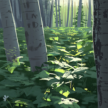 Plants, Nature, Trees, Art, Forest HD wallpaper