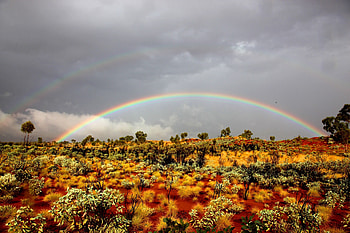Nature, Sand, Rainbow, Vegetation, Shrubs, Wild West HD wallpaper