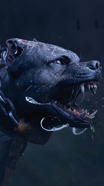Call of Duty, call_of_duty, dog HD phone wallpaper