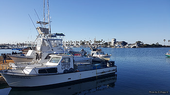 Boats in a Southern California Harbor, Reflections, Boats, Water, Sky, California HD wallpaper