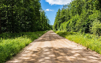 Forest Road in Latvia, Latvia, summer, road, forest HD wallpaper