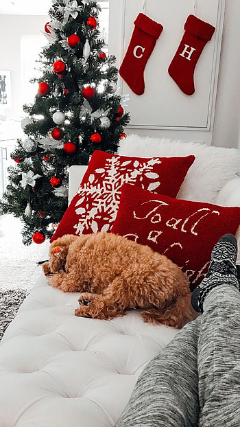 Christmas Aesthetic, Red Aesthetic HD phone wallpaper