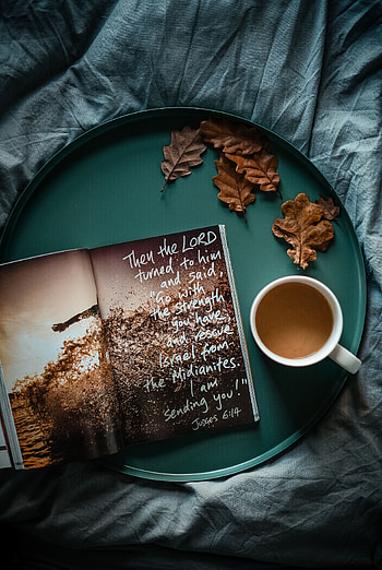 Leaves, Miscellanea, Miscellaneous, Inscription, Tea, Tray, Magazine, Journal HD phone wallpaper