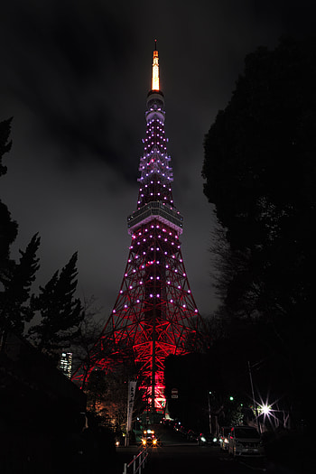 Dark, Shine, Light, Night City, Backlight, Illumination, Japan, Tower, Tokyo HD phone wallpaper