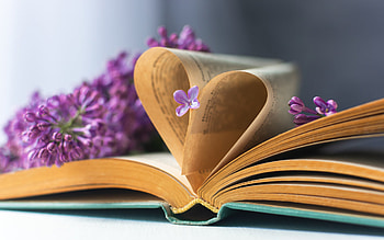 heart with pages of books, romance concepts, reading, books, heart concepts HD wallpaper