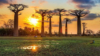 East & West Adventure in Madagascar, Natural Wonders, Wildlife Safari, Cultural Immersion HD wallpaper