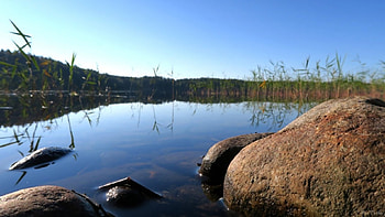 Beach, summer, lake, rock HD wallpaper