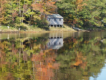 A Tiny House by the Lake, trees, water, lake, house HD wallpaper