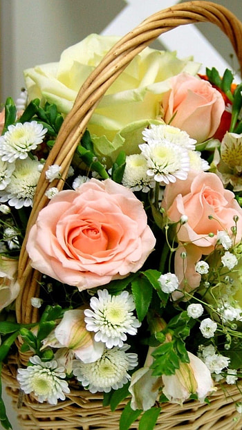 Beautiful Flowers Roses, Flowers, Decoration HD phone wallpaper