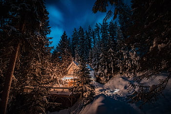 A cozy winter cabin glowing amidst snow-covered trees under a starry night sky. HD wallpaper