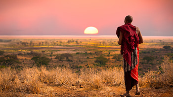 Safari Kenya Masai Mara HD wallpaper