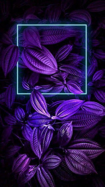 Neon, 3d HD phone wallpaper