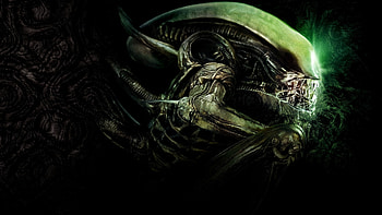 Xenomorph, H.R. Giger HD wallpaper