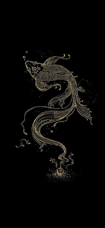 Fish, symbol, flash graphy HD phone wallpaper