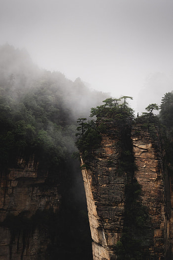 Landscape, Nature, Trees, Rocks, Fog HD phone wallpaper