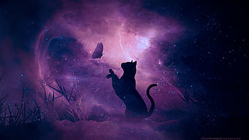 Art, Stars, Shine, Silhouette, Cat, Starry Sky, Brilliance, Galaxy, Butterfly HD wallpaper