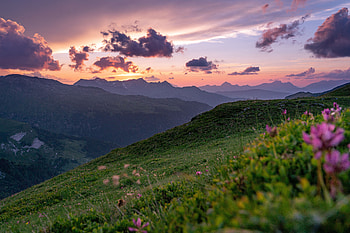 Landscape, Nature, Flowers, Sunset, Grass, Mountains, Slopes HD wallpaper