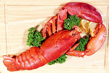Lobster, animal, sea, food HD wallpaper