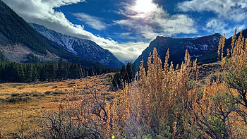 Beartooth Pass, Montana, sky, landscape, autumn, trees, clouds, usa HD wallpaper