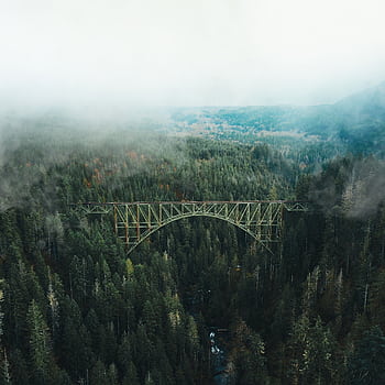 Stunning aerial shot of a bridge spanning a misty forest, showcasing nature's beauty. HD phone wallpaper