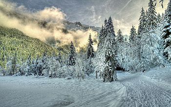 Winter, Nature, Clouds, Snow, Forest, Fog, Fir, Spruce, Hills HD wallpaper