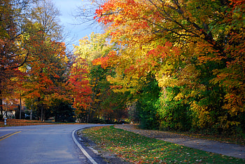Driving along the Big Creek Rd, colors, beautiful, driving, fall HD wallpaper
