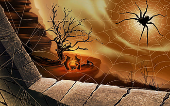 Cute spider , Halloween themed graphy, Cute arachnids, Wall-worthy HD wallpaper