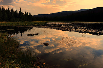 Nature, Trees, Sky, Clouds, Lake, Reflection, Spruce, Fir HD wallpaper