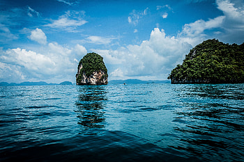Plants, Nature, Sea, Rock, Tropical HD wallpaper