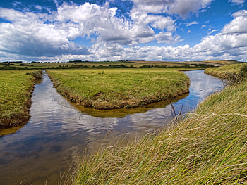 Nature, Rivers, Grass, Field, Sunny, Channel HD wallpaper