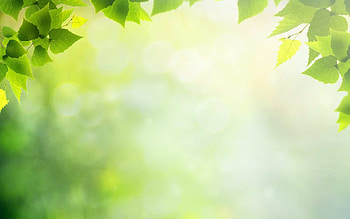 Holistic Health . Holistic, Ayurveda HD wallpaper