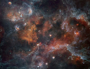 Universe, Stars, Brown, Nebula HD wallpaper