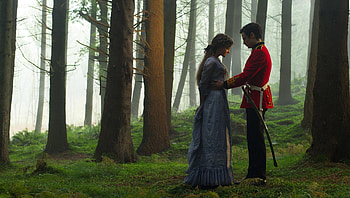 Far from the Madding Crowd (2022) movie HD wallpaper
