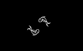 Pisces Zodiac Sign, Constellation , Celestial beauty, Starry night HD wallpaper