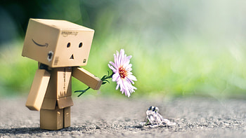 Danbo With Flower, danbo, flower, cute HD wallpaper