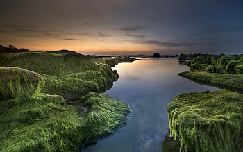 Mossy Beach, water, sunset, moss, beach HD wallpaper