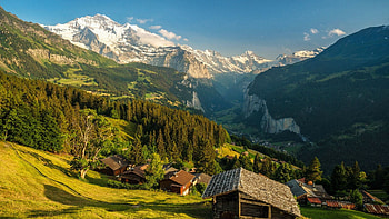 Wengen, Switzerland, alps, houses, village, landscape, trees, meadow HD wallpaper