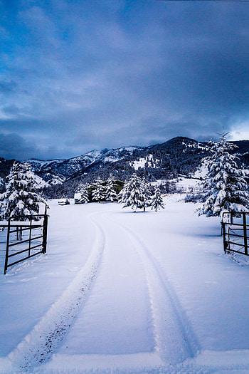 Winter, Nature, Trees, Mountains, Snow HD phone wallpaper