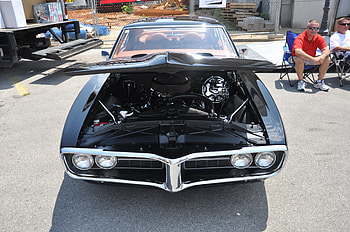 Black Firebird, firebird, low, black, smooth HD wallpaper