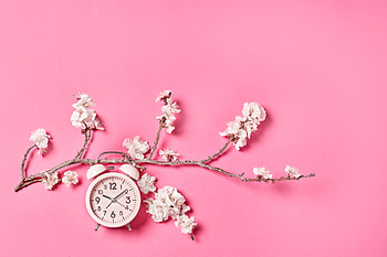 Flowers, Pink, Clock, Sakura, Minimalism, Alarm Clock HD wallpaper