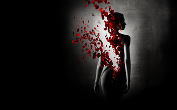 fantasy girl, dissolution, red, rose petals, beautiful, girl HD wallpaper